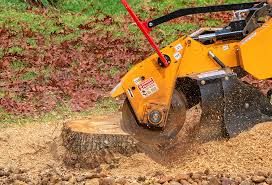 Best Tree and Shrub Care  in Grantsville, UT